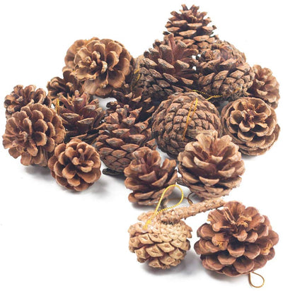 Natural Pine Cones, Lodge Pole Decorative Fall Winter Holiday Home Decor Vase Filler, Christmas Tree Ornaments,18 PCS - 3 Otters
