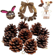 Natural Pine Cones, Lodge Pole Decorative Fall Winter Holiday Home Decor Vase Filler, Christmas Tree Ornaments,18 PCS - 3 Otters