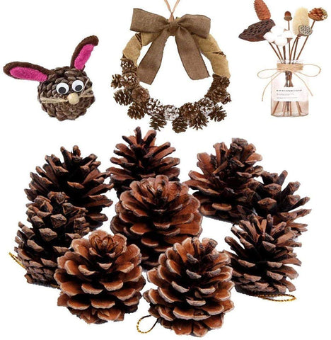 Natural Pine Cones, Lodge Pole Decorative Fall Winter Holiday Home Decor Vase Filler, Christmas Tree Ornaments,18 PCS - 3 Otters