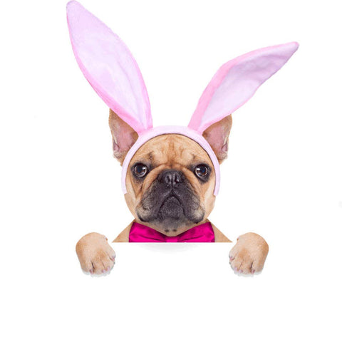 Plush Bunny Ears Hairbands, Cute Bunny Headband Halloween Bunny Ears Hairbands for Party Decoration Party Favor, 6 PCS - 3 Otters
