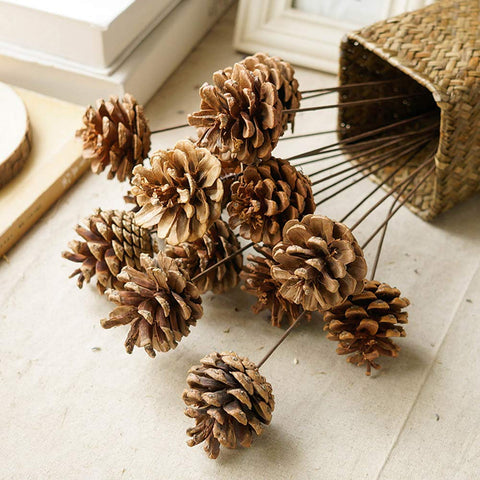 Natural Pine Cones, Lodge Pole Decorative Fall Winter Holiday Home Decor Vase Filler, Christmas Tree Ornaments,18 PCS - 3 Otters